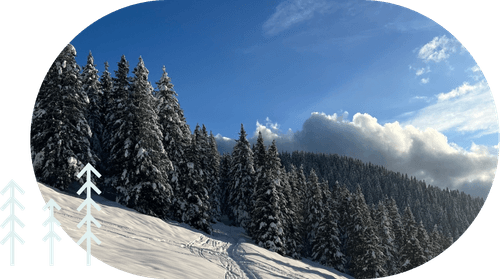 Team building in montagna